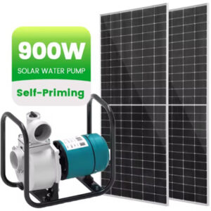 Máy Bơm Năng Lượng Mặt Trời